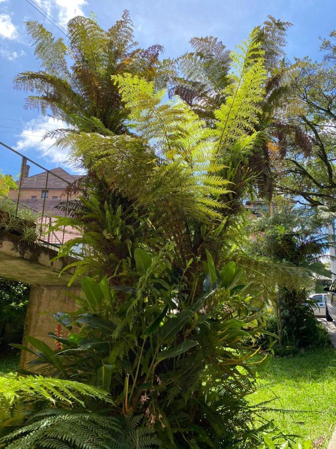 Casa Da Vo Diva No Centro De Gramado Villa Esterno foto