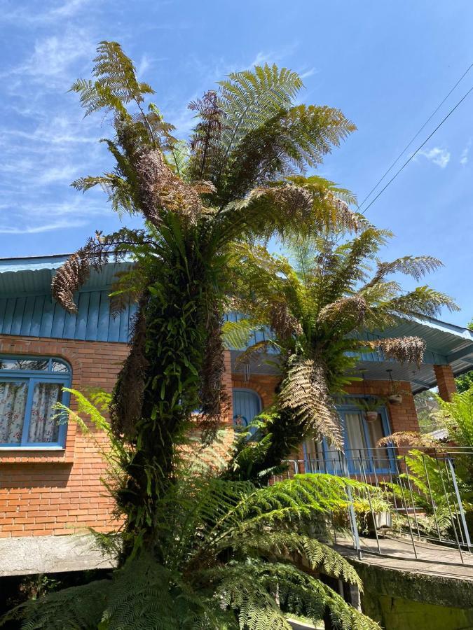 Casa Da Vo Diva No Centro De Gramado Villa Esterno foto